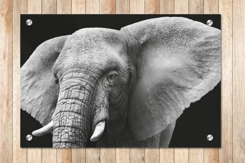 Модерен стенен фигура във формата на слон в акрилна стъклена рамка - Черно-бяло серията Животните в дивата