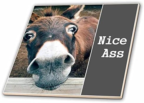 3dRose Nice Ass - Сладък магаретата, хумор, Забавна шега за задника на животното, в банята и тоалетната - теракот