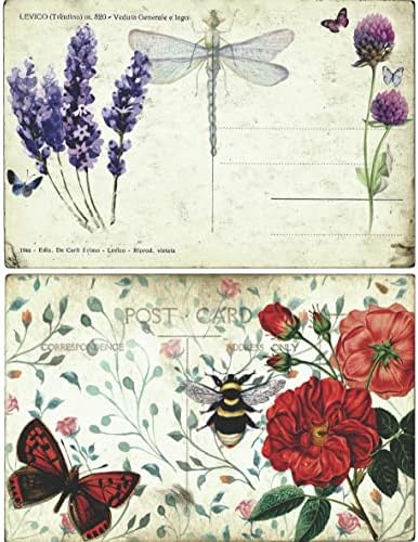 Оризова хартия, за да черница с пчели и птици, 8 x 10.5 инча - 6 x Различни Печатни Изображения от Черница с видими
