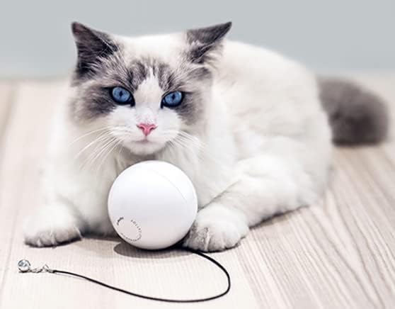 Интелектуална Съвместимост с Автоматична Интерактивна Съвместимостта с Играчка за котки, Съвместима с Топката