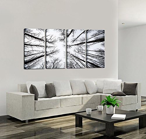 LevvArts - Черно-бял, с монтиран на стената за рисуване върху платно с изображение на Aspens под нисък ъгъл, Национален