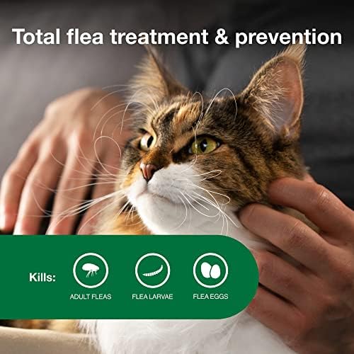 Ветеринарен лекар Advantage II Large Cat-Препоръчителното лечение и профилактика на бълхи | Котки с тегло над 8 килограма