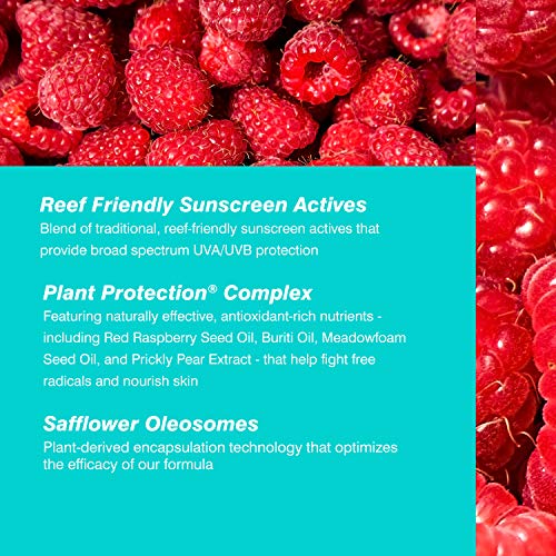 Слънцезащитен крем-спрей COOLA Organic Sunscreen SPF 50, Тестван от дерматолози за ежедневна защита на кожата, Вегетариански,