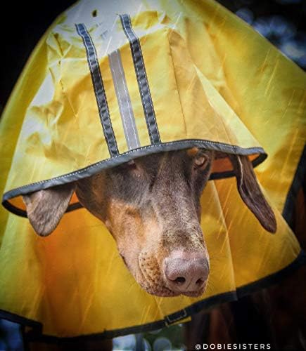 Модерен Дъждобран за кучета X-Large Dog | Дъждобран за кучета с качулка | Пончо от дъжд за кучета | Полиестер | Водоустойчив | Жълто със сиво светоотражающей ивица | Идеале?