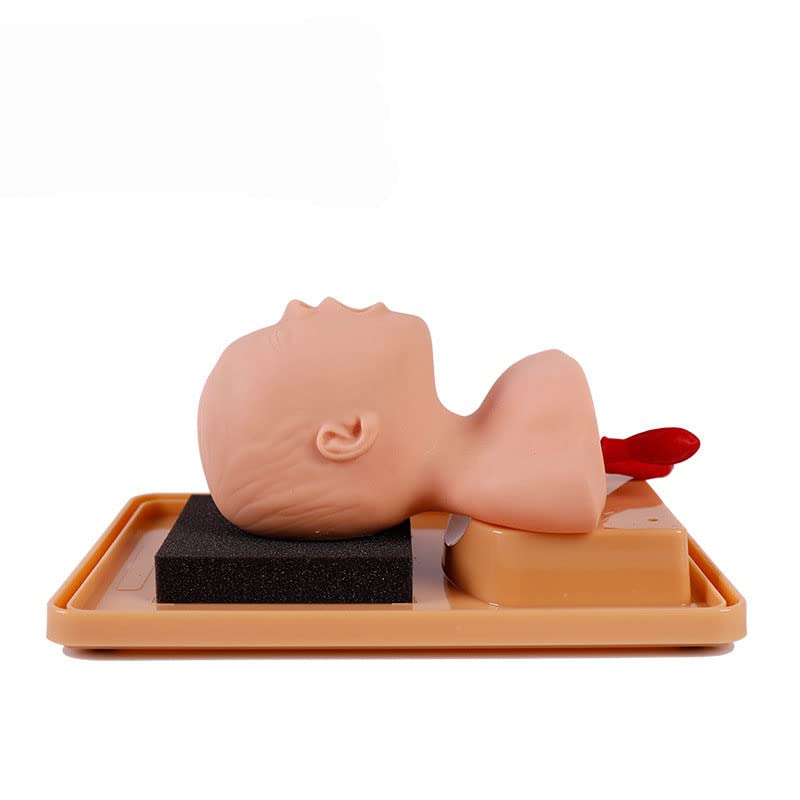 Обучение на медицински Науки Обучение на Интубация на трахеята Новороденото Обучение Манекену Образователна Модел