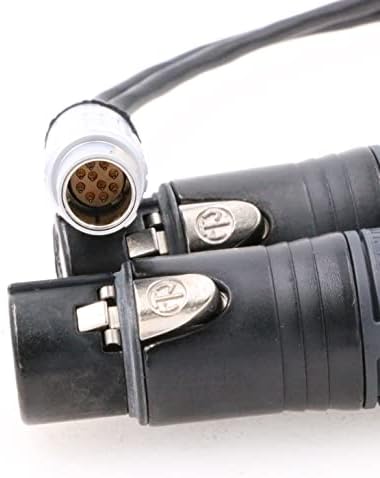 Входен кабел ZBLZGP Audio Breakout с 10 на контакти в Двойна 3-Пинов XLR за Видео Atomos Shogun Flame Monitor Recorder (директен штекерный кабел)