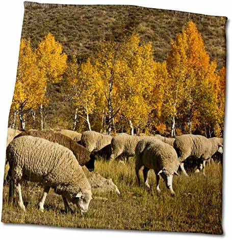 3D Струи от роза на Фестивала на овце-Есен-Ketchum, Айдахо, САЩ Кърпа за ръце 15 x 22