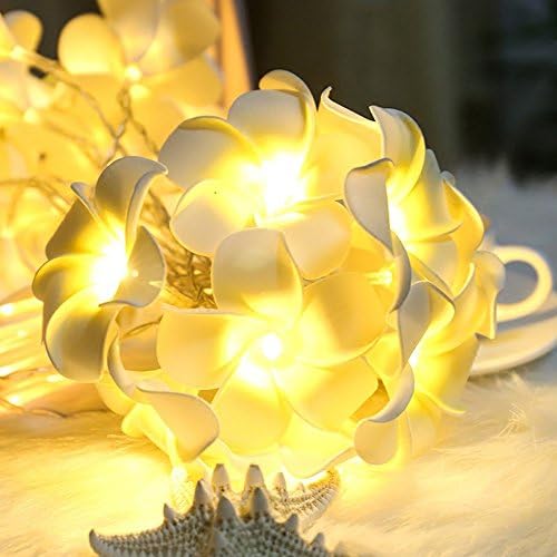 Струнен Страхотна Парти Начало Ретро Led Лампа Цвете Франжипани Батерия Сватбен Led Лампа Коледни Светлини Прозорец В Помещението
