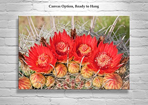 Печат на снимки с цвете червено кактус в пустинята Аризона