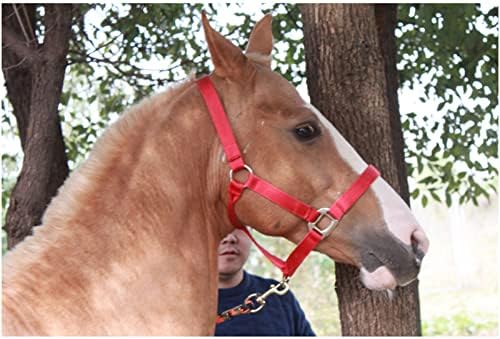 Z & X Регулируема Конче Пътеки, Юздите, Налобники, Конче Пътеки за Външни Аксесоари за коне и Оборудване за конни Надбягвания
