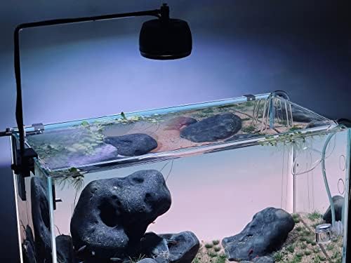 Ключалки за стъклени капаци аквариум LANDEN от прозрачен акрил, държач за стъклена покрива 4 mm - 12 бр. / опаковане., Нисък