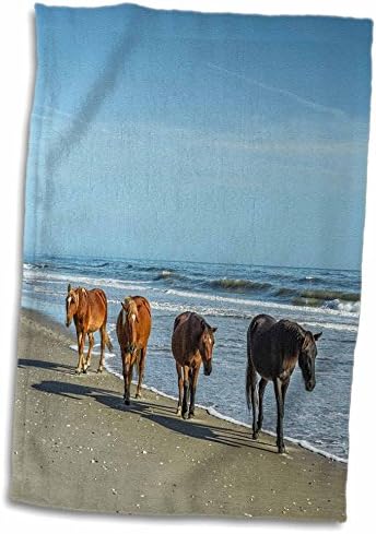 3D Роза Група от диви испански mustangs Короллы, Разхождащи се По Плажа, Кърпи за ръце, 15 x 22