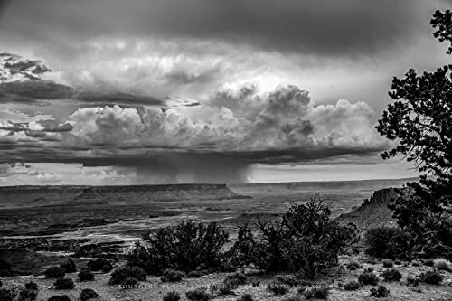 Печат на снимки с юго-запад (без рамка) Черно-бяло изображение гръмотевична буря облаците над националния парк Canyonlands, щата Юта, на Западната стена, Изкуство, природ?