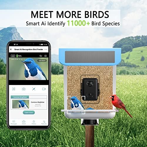 А за птици с Камера, Умна Ясла за птици с Камера,AI Идентифицира Камера Хранилки за Птици, Слънчева Ясла за
