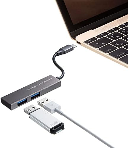 Sanwa Supply USB-3TCH24SN Тънък концентратор USB Type-C с 2 порта, сребрист