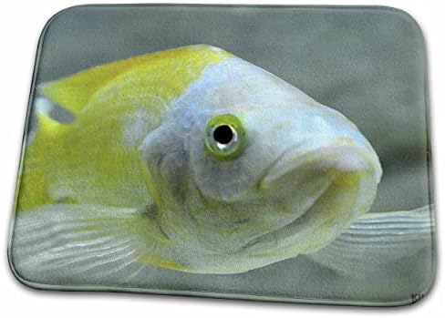 Триизмерно изображение на риба в най-големия речен аквариум в Европа - подложки за сушене на чинии (ddm-9942-1)