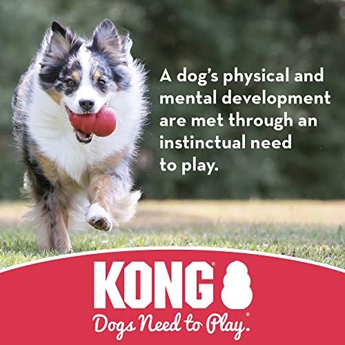 КОНГ - Puppy Флаер - Гумена играчка за кучета с Летенето диск за никнене на млечни зъби (Различни цветове) - за малки кученца