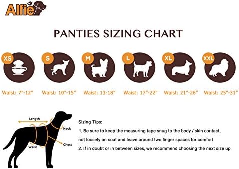 Комплект хигиенични гащи за кучета Алфи Пет - Maxine от 3 теми - Цвят: Черен, камуфляжный и деним, Размер: Малка