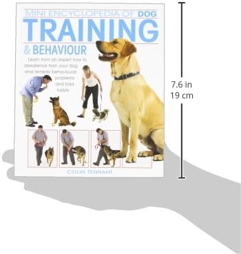 Мини-енциклопедия на послушание и поведение на кучета