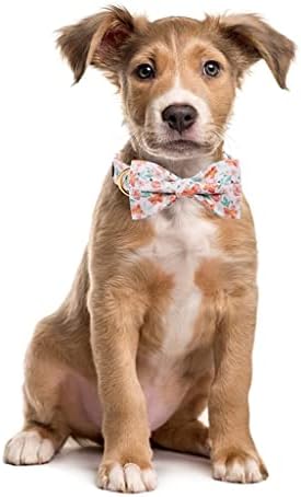 Универсален Цветен Памук Нашийник за Кучета с папийонка Оранжево Цвете Щенячий Нашийник за Малко куче със Среден размер