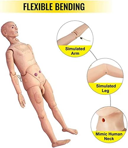 Анатомическая Модел на Човека NIHE Многофункционални Обучаващи манекени за медицински сестри, Мъжки и Женски Манекен за