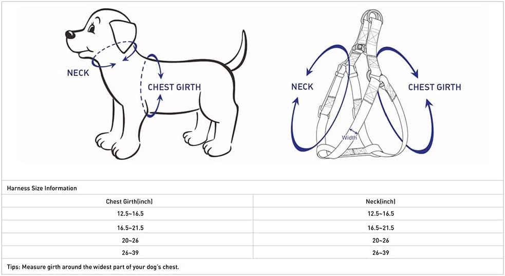 Шлейка за кучета Blueberry Пет Essentials със светлоотразителни елементи Назад към основите, тъмно-Маслинова, Обиколката на гърдите 16,5 - 21,5, Малка, регулируем Шлейка за кучет