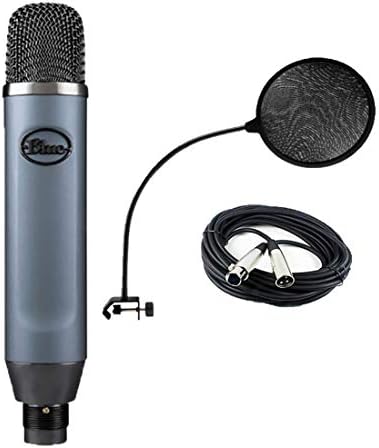 Кондензаторен микрофон Blue Ember XLR За запис и стрийминг на живо, поп-филтър и XLR кабел