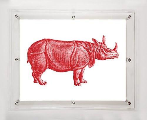 Rhino Scarlet, 25,5x31,5 инча.