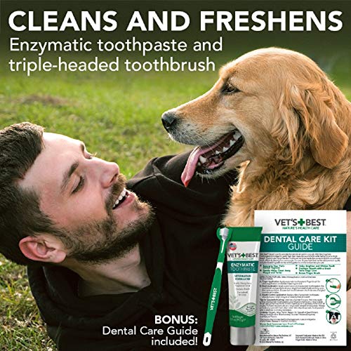 Най-добрата четка за зъби за кучета от Ветеринарен лекар и набор от Ензимната паста за зъби - Комплект за почистване
