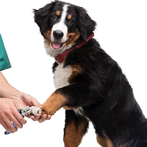 Нокторезачки YIZHOUER за кучета, Професионална машина за рязане на нокти за домашни любимци, Машинка за подстригване с бързото предохранителем, инструмент за да се гри