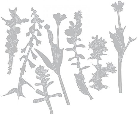 Комплект печати Sizzix Thinlits 661808, Диви цветя 2 Тим Хольца, Многоцветен, с Един размер