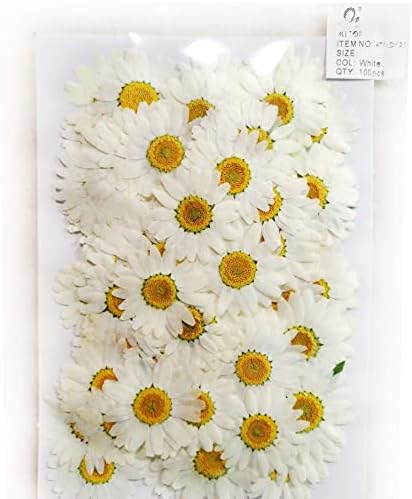 Хризантемата палюдосум Пресовани цветя, Сушени цветя за смола, - (Стил И Цвят: 30 опаковки по 180 бр.)