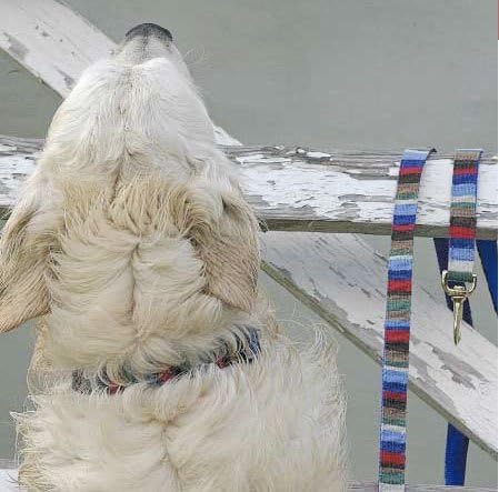 Опашката, на които Бихме Могли да Махане на Кучето на каишка - на плажа Nantucket Ширина 6 метра (1/2 инча)
