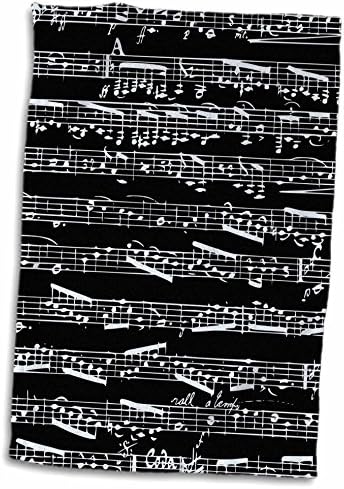 Черно-Бели нотки на 3D Rose-Стилни Бележки-Ноти за пиано-Подаръци съвременните музиканти Кърпа за ръце /Спорт,