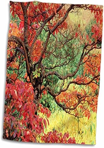 Кърпи 3dRose Florene America The Beautiful - Наситени с цвят на Есен в Портланд, щата Орегон (twl-56126-1)