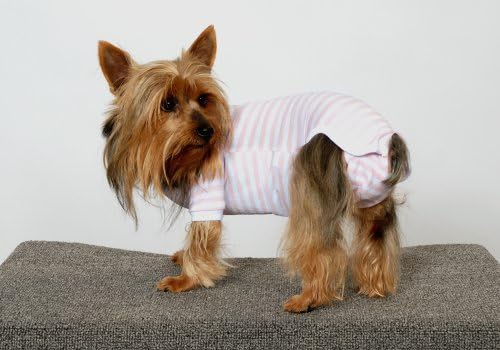 Тениска за кучета Dogsie, Мъжки, Среден Размер