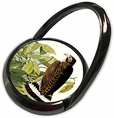 3d Рисунка на хищни птици Audubon America под формата на Ширококрылого ястреб в ретро стил - Телефонни пръстени
