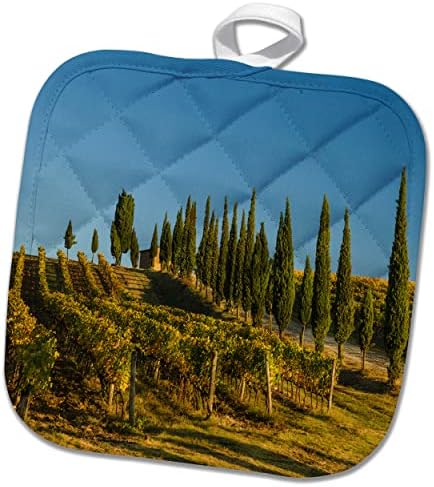 3дРозе, Италия, Тоскана. Лозе и тоскански дървета на хълма в... - кухненски ръкавици (phl-366505-1)