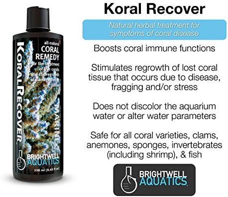 Brightwell Aquatics Koral Recover - градините или коралово средство за лечение на живи корали и възстановяване на повредени коралови тъкани, 2 л (KRC2L)