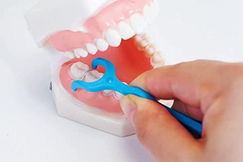Clinica В този предимство на зъбни конци Y-type 18