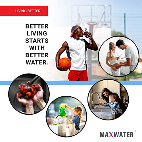 Максимална вода 3 степени (подходящ за градски и коттеджной вода) 20-инчовата система за филтриране на вода за цялата къща