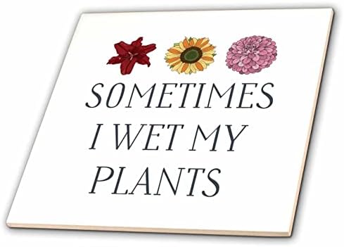 3дРоуз Эвадан - Смешни думи - Понякога аз Урината Своите Растения - Теракот (ct_355903_1)