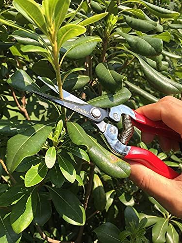 Професионален градински нож Hori Hori от gonicc с кожени ножнами и обрезным нож с микроострием (GPPS-1008), защитен