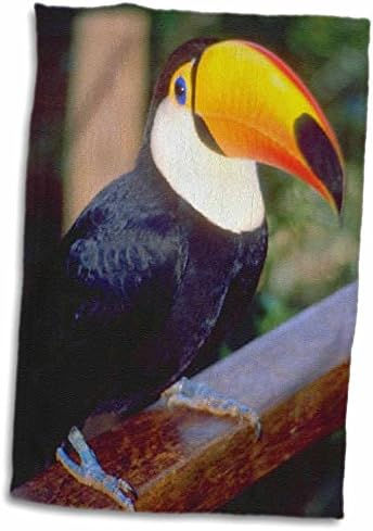 Кърпи 3dRose Florene Birds - Toucan (twl-17933-1)