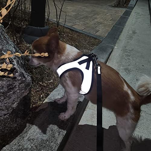 Светоотражающая Куче Шлейка WOEF Light Up за малки Кучета, Шлейка с висока Видимост, Обезопасена Нощна разходка На открито (XS, S, M) (S)