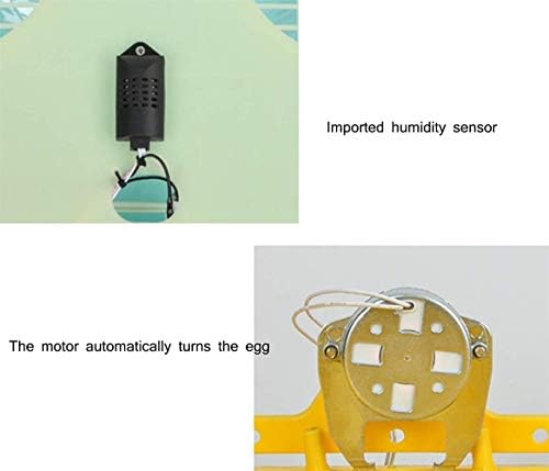 ALREMO 103234536 Автоматичен Инкубатор за яйца, Интелигентен Цифров с led дисплей за контрол на температурата за
