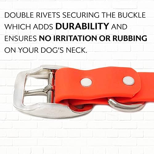 Regal Dog Products Голям Оранжев Водоустойчив нашийник за кучета с тежка рамка двойна катарама и D-образен пръстен | Регулируеми маншети за домашни любимци с винил покритие