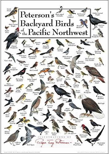 Земя, Небе + Вода - Peterson's в задния Двор Birds Тихоокеанския северозапад