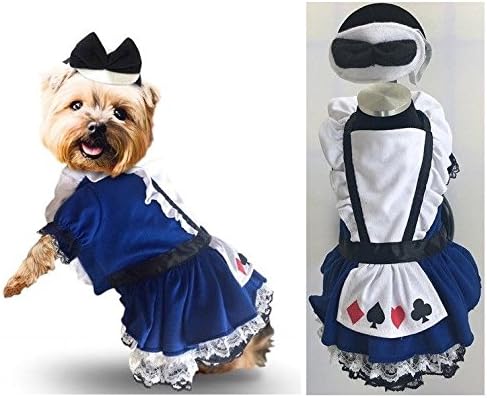 Качествен Костюм За кучета - игри с Карти костюми Страна на Чудесата, Синята Лейси Долната пола Алиса (Две)