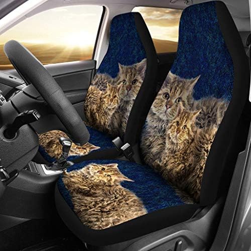 Отличен магазин Порода Красиви Калъфи За автомобилни Седалки с Принтом котки Селкирк Рекс